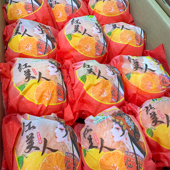 红美人柑橘 Red Beauty Orange CNY 2026