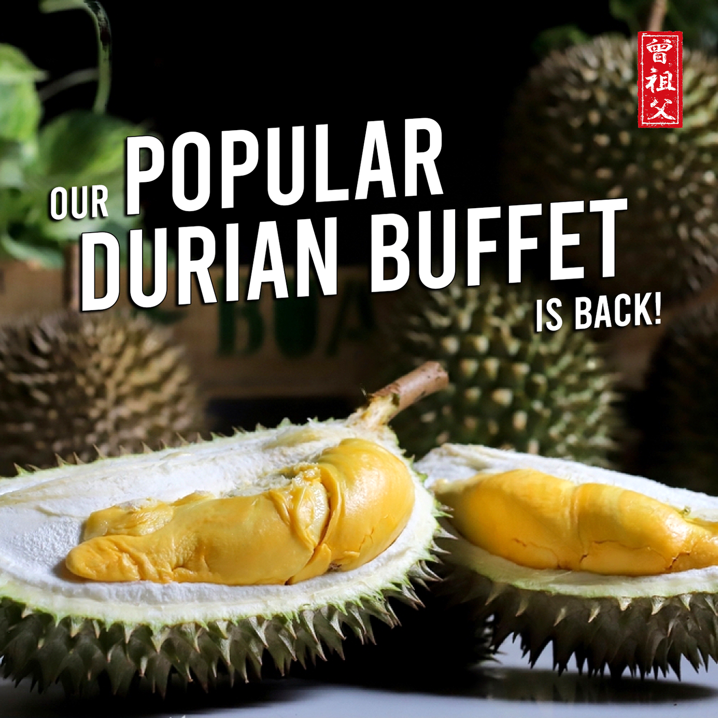 Singapore Durians Buffet 2023 | Zen Zu Fu Durians