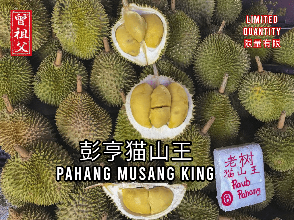 Pahang Musang King 彭亨猫山王 | Zen Zu Fu Durians